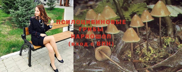 ешки Армянск