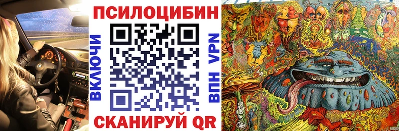 Псилоцибиновые грибы Psilocybe  мега ссылка  Вилюйск 