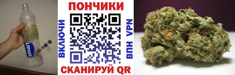 Бошки Шишки конопля  Вилюйск 